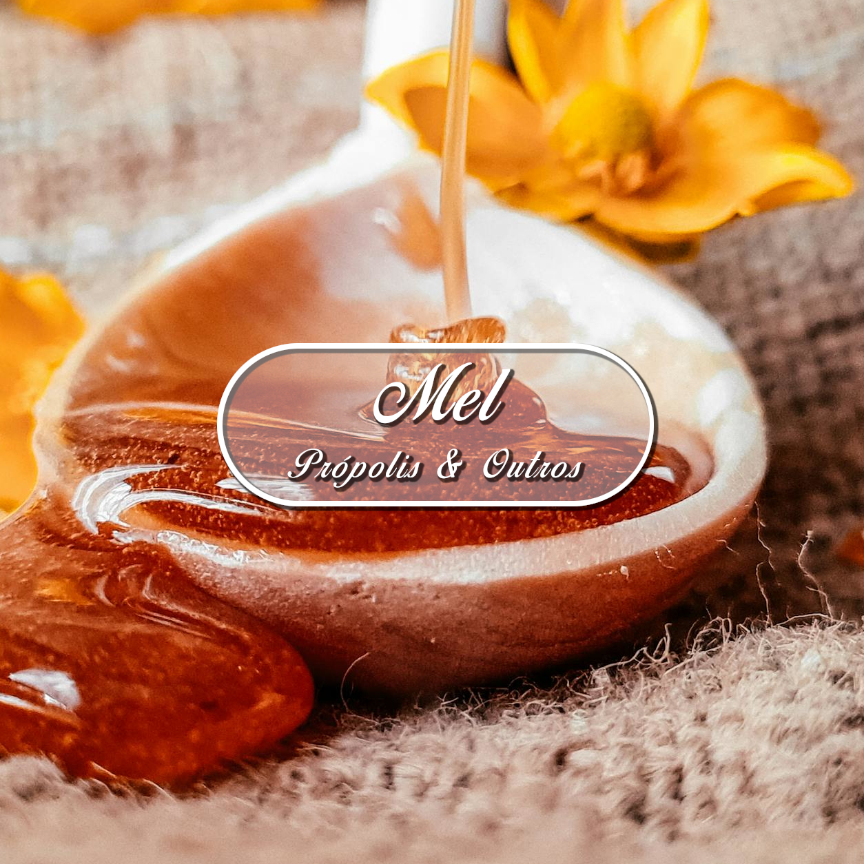mel, própolis e outros